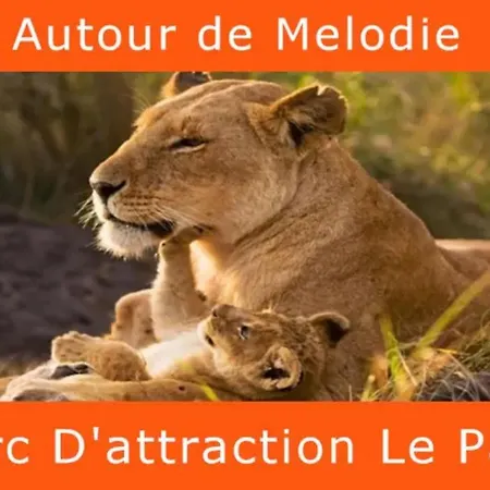 Melodie Lumineuse Et Spacieuse A 6km Du Pal *