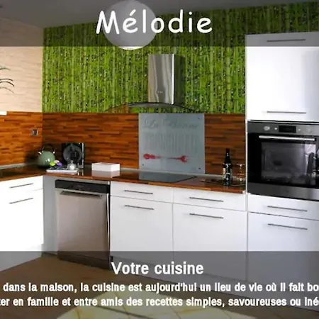 Guest house Melodie Lumineuse Et Spacieuse A 6km Du Pal Dompierre-sur-Besbre