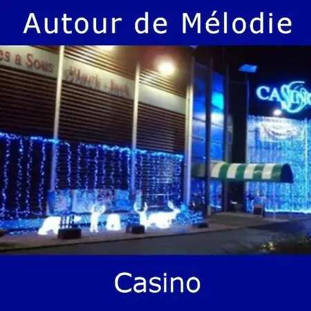 Guest house Melodie Lumineuse Et Spacieuse A 6km Du Pal Dompierre-sur-Besbre
