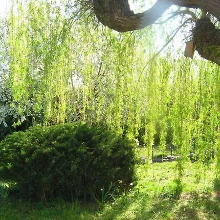Melodie Lumineuse Et Spacieuse A 6km Du Pal *
