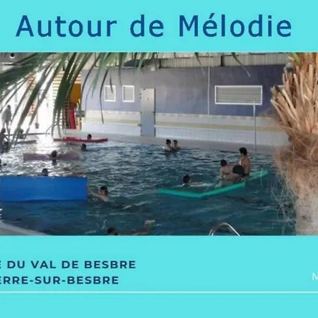 Guest house Melodie Lumineuse Et Spacieuse A 6km Du Pal Dompierre-sur-Besbre
