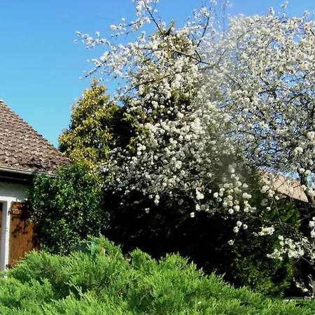 Melodie Lumineuse Et Spacieuse A 6km Du Pal Guest house Dompierre-sur-Besbre
